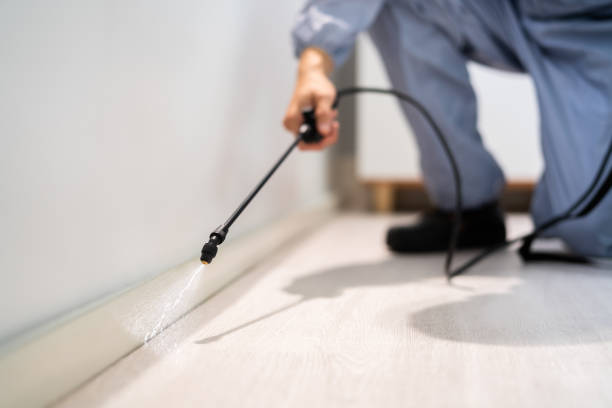 Certified termite inspector examining foundation in Clarkson Valley